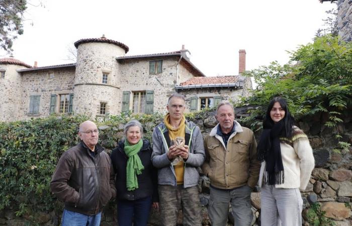 In Haute-Loire die schöne Geschichte dieser Geschwister von Schleiereulen, die aus dem Nest gefallen sind