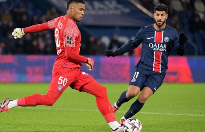 PSG – TFC: Bleibt und Aboukhlal wird nicht belohnt, Babickas Ausfall … Entdecken Sie die Notizen der Bewohner von Toulouse