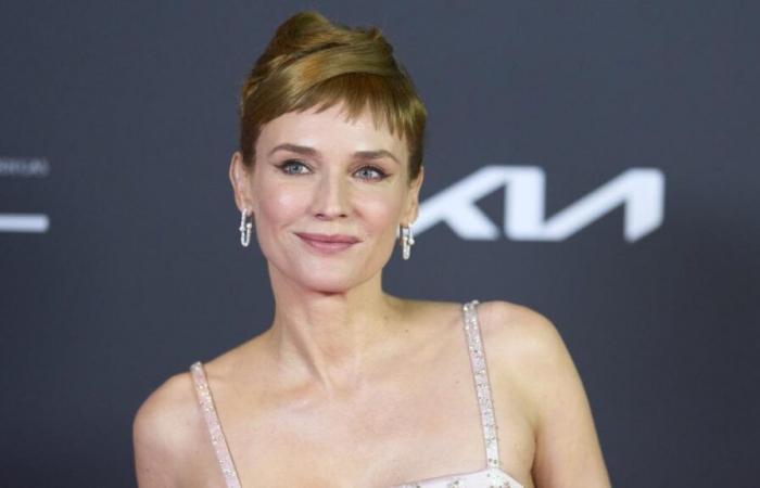 Diane Kruger posiert in einem völlig transparenten Kleid ohne BH, der 48-jährige Star ist heißer denn je