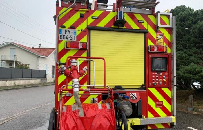 Umstürzende Bäume und beschädigte Kabel in Lot-et-Garonne nach dem Sturm Caetano