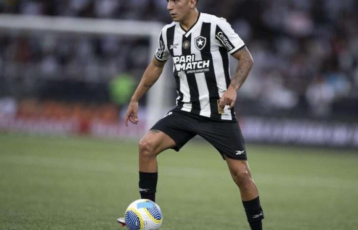 Botafogo x Vitória Vorhersage – Brasilianische Meisterschaft