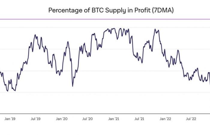 Bitcoin am 23. November – 99 % der Betreiber machen mit BTC Gewinn, Zeit für den endgültigen Anstieg?