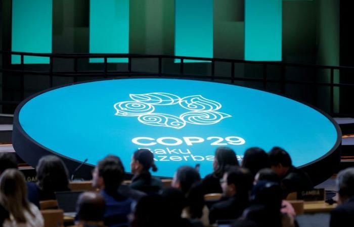 COP29 – Wo sind die 300 Milliarden Dollar?