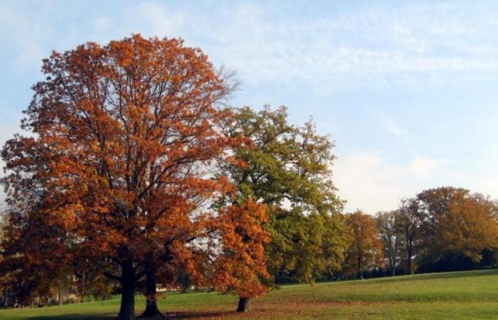 Spektakulärer Temperaturanstieg: Mehr als 10°C Anstieg in 24 Stunden