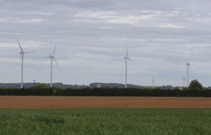 Dieser Windpark soll in Sarthe das Licht der Welt erblicken: Die Gegner sind enttäuscht