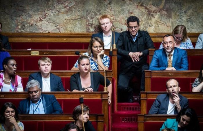 Die Abgeordneten von La France insoumise wollen den Straftatbestand der Entschuldigung für Terrorismus abschaffen