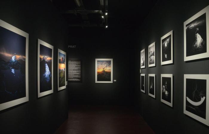 Die neue Didam-Ausstellung beleuchtet die „Talente des Baskenlandes“