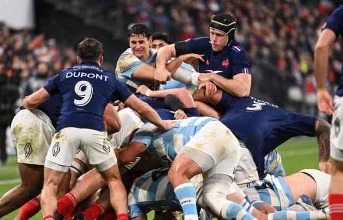 Rugby: Frankreich schlägt Argentinien und beendet seine Herbsttour ungeschlagen