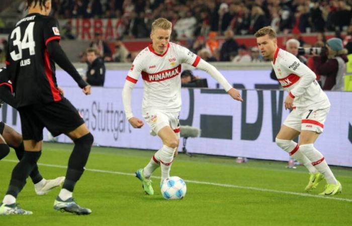 Bundesliga heute: Stuttgart – Bochum LIVE im TV, Liveticker & Livestream