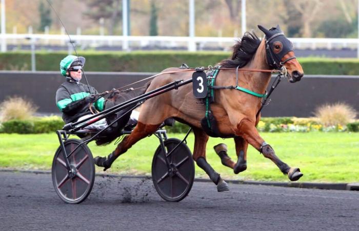 Prix ​​​​Vourasie (Gr. III): Marion d’Atout bewahrt ihre Unbesiegbarkeit