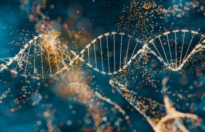 Verborgene Geheimnisse der menschlichen Evolution werden durch neue DNA-Technik enthüllt