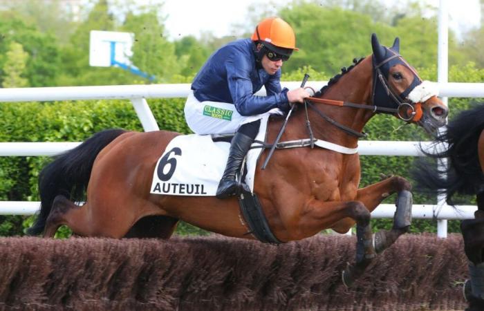 Sonntag in Auteuil – Quinté+: Kamikaze du Tay ist einstimmig