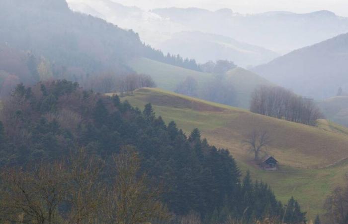 Mit „La Ferme du Paradis“ schafft Bernard Comment ein sonniges Roadmovie durch eine Welt, die immer näher rückt