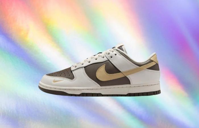 Zu diesem Preis schnappen sich Sneaker-Fans dieses Nike Dunk Low-Modell (-30 %).