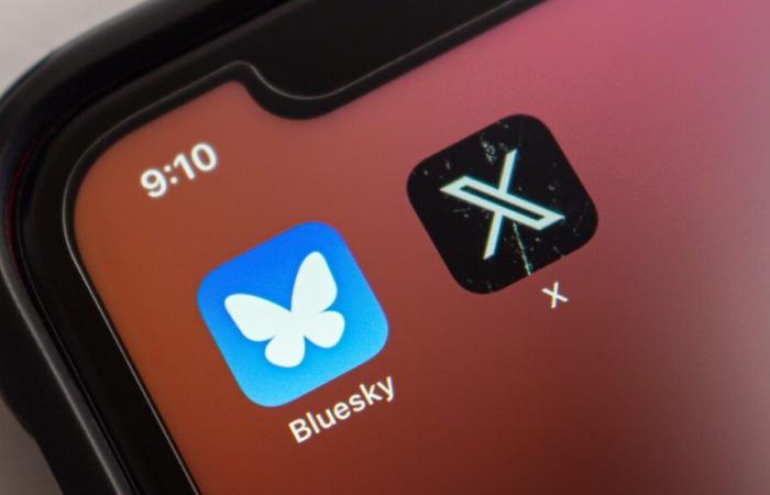 Von X (ex-Twitter) bis Bluesky – alle Tools und Tipps, die Sie für eine erfolgreiche Migration benötigen