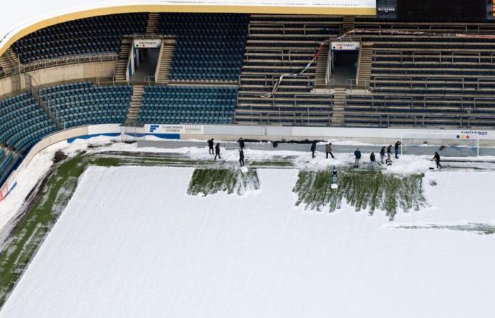 Fans helfen mit, um Swissporarena von Schnee zu befreien