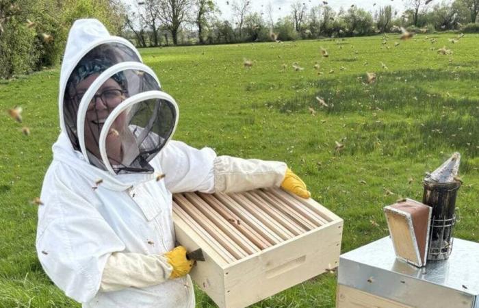 Im Ärmelkanal ließ die Friseurin ihre Schere fallen, um Bienen zu züchten und Honig herzustellen