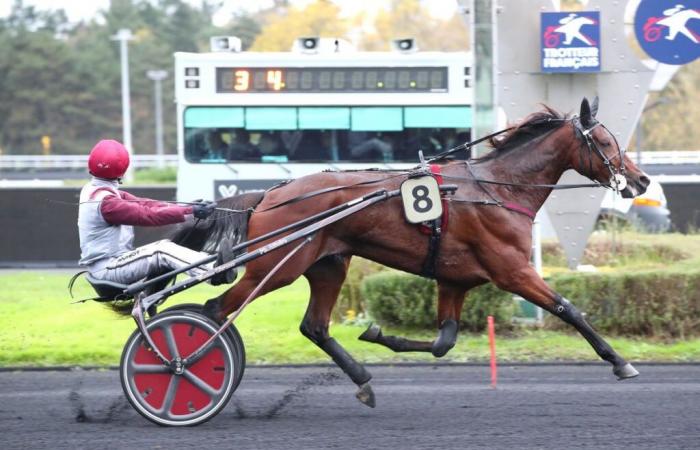 Vollständige Box für Monzon Normand