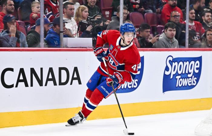 Es ist schon fast garantiert, dass Lane Hutson ein NHL-Star wird