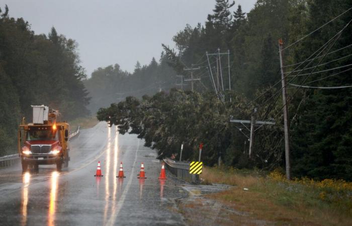 Maines östlichste Stadt könnte ein Modell für die erneuerbare Zukunft des Landes sein • Maine Morning Star