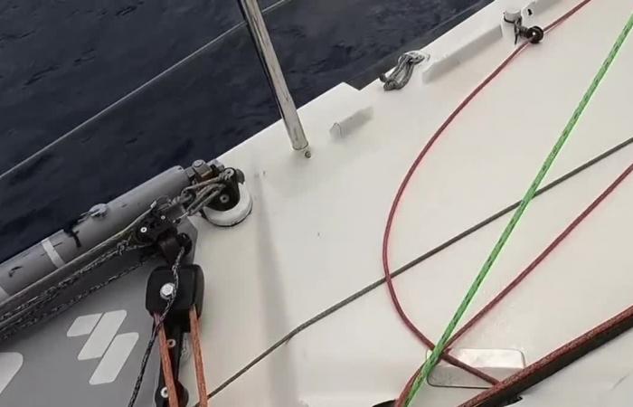 Bei der Teilnahme an der Vendée Globe beeindrucken sie, immer im Hinterhalt, die Frauen geben nicht auf