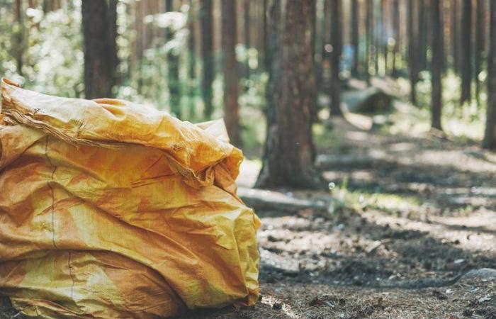 „Völlig umgedreht“, „zerschmettertes Gesicht“ … die Leiche einer 81-jährigen Frau, die in einer Tasche in einem Wald in der Nähe von Blois entdeckt wurde