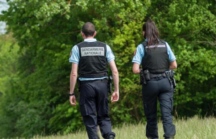 Die Leiche einer 81-jährigen Frau wurde in einer Tasche entdeckt, ihre Nachbarin wurde in Polizeigewahrsam genommen