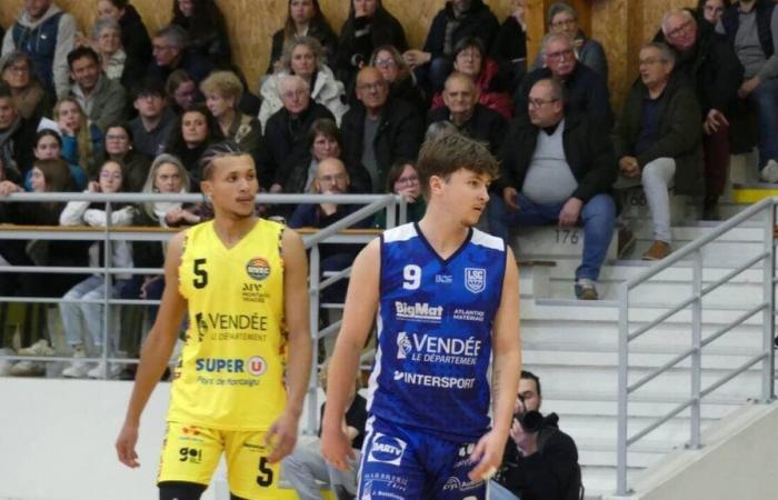 Basketball. Coupe de France Trophy: Montaigu atmet gegen Luçon/Sainte-Gemme