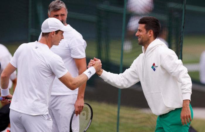 Andy Murray trainiert Novak Djokovic