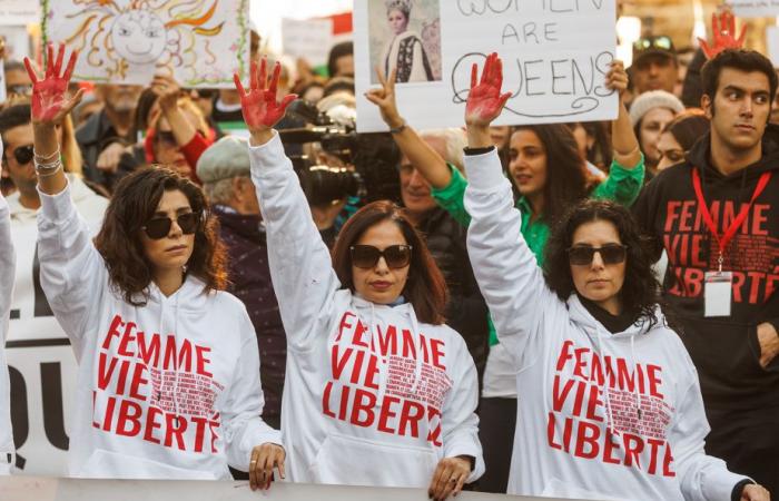 Iranische ausländische Einmischung | „Ich weiß, dass ich eine gute Geisel sein kann“, macht sich Nimâ Machouf Sorgen