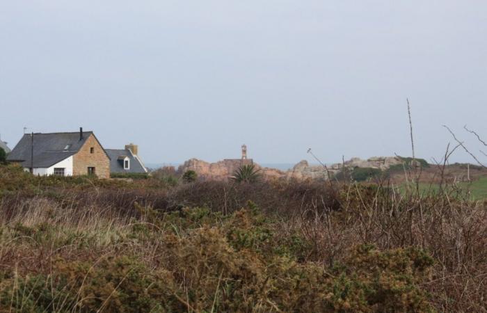 Auf der Insel Bréhat wird das Moor- und Waldmassiv als brandgefährdet eingestuft