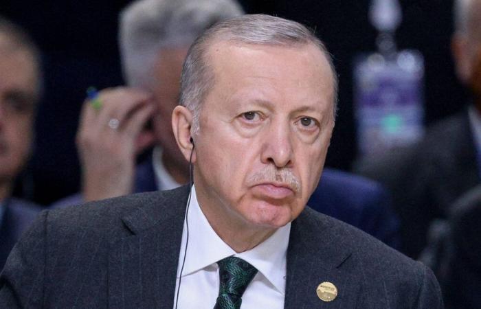 Erdogan begrüßt den Haftbefehl des IStGH gegen Netanyahu