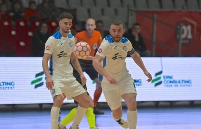 LIVE-VIDEO. Toulon – Hérouville: Verfolgen Sie das D1-Futsal-Spiel live