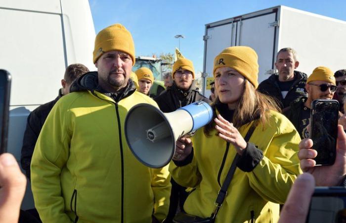 Wut der Landwirte: „Getreideimporte aus der Ukraine“… Was CR 47 Arnaud Rousseau und seine Avril-Gruppe kritisiert