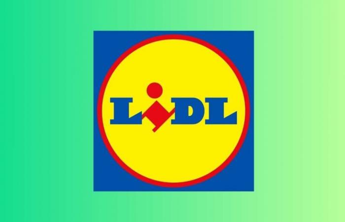 Lidl schlägt mit diesem 2-in-1-Staubsauger zu einem spektakulären Preis zu