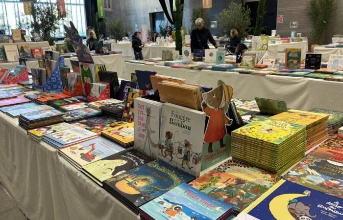 Beim Kinderbuchfestival Grains de sel wird „Kinderliteratur den Ansprüchen der Literatur gerecht“