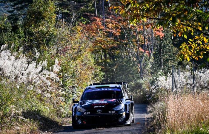 Toyota „bräuchte möglicherweise die Unterstützung von Ford“, um den WRC-Titel bei der Rallye Japan zu gewinnen