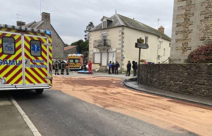 Auf dem Weg zur Rettung zweier verbrannter Menschen, darunter eines Kindes, stößt der Hubschrauber in der Normandie auf einen Busch