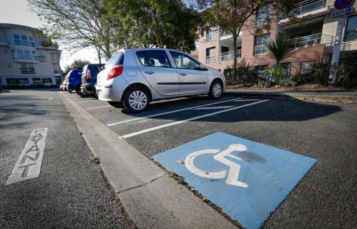 Das Auto ihres behinderten Freundes wird gestohlen und beschädigt. Sie startet eine Online-Spendenaktion