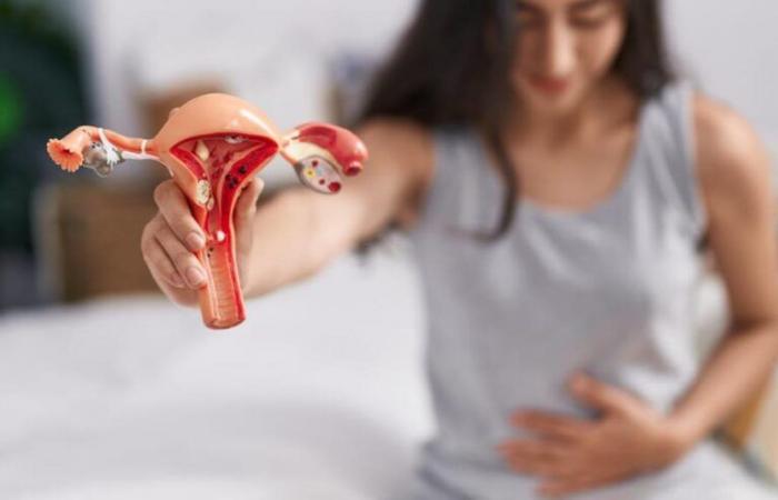 Hier erfahren Sie, welches Gesundheitsrisiko laut einer Studie erhöht sein könnte, wenn Sie in der Vergangenheit Myome oder Endometriose hatten