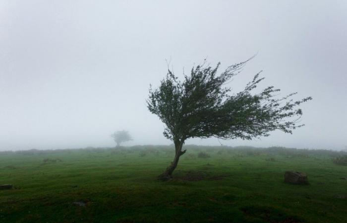 Nach dem Schneefall wird der starke Wind die Orne treffen, bevor es zu einem „außergewöhnlichen Anstieg“ kommt.