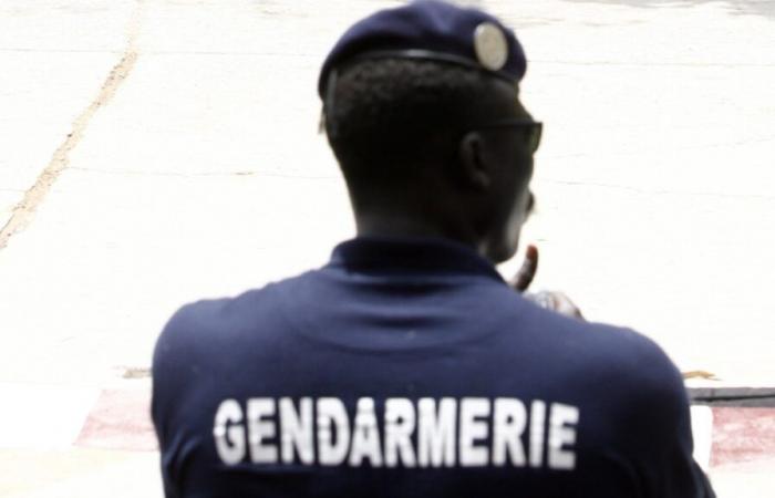 Ex-Minister Samuel Sarr in Polizeigewahrsam genommen – La Nouvelle Tribune