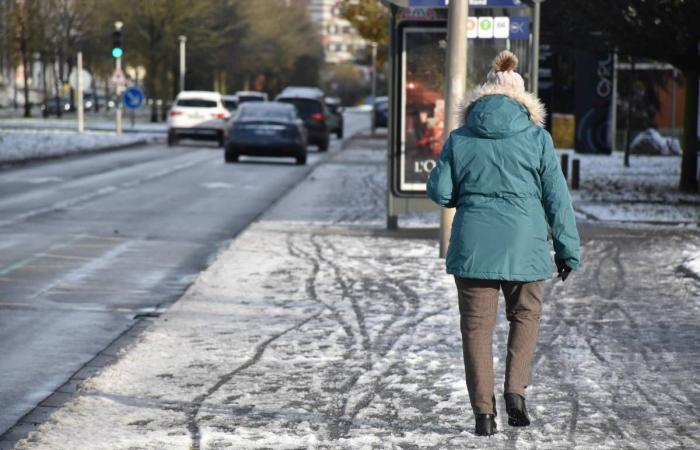 Verkehrssicherheit, Schnee und Unfälle, Loiret aus der Luft, Rennen der 3 Brücken… Unter den 5 Nachrichten für Freitag, den 22. November in Loiret