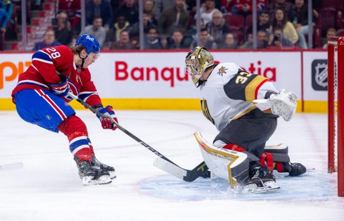 Golden Knights-Kanadier | Ein Match und ein Vorsprechen für den Four Nations Showdown?