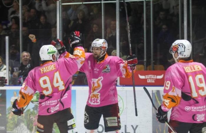 Eishockey. Der Hogly bringt Toulouse zu Fall und sieht das Leben in Rosa