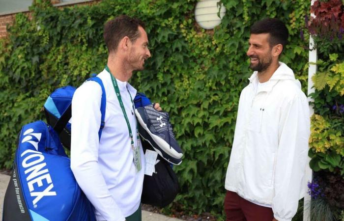 Tennis: Andy Murray wird Novak Djokovic trainieren