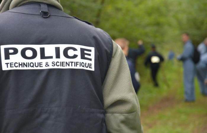 Eine 81-jährige Frau wurde tot in einer Tasche im Wald gefunden, ihr Nachbar vermutete, ein anderer Nachbar „nicht überrascht“