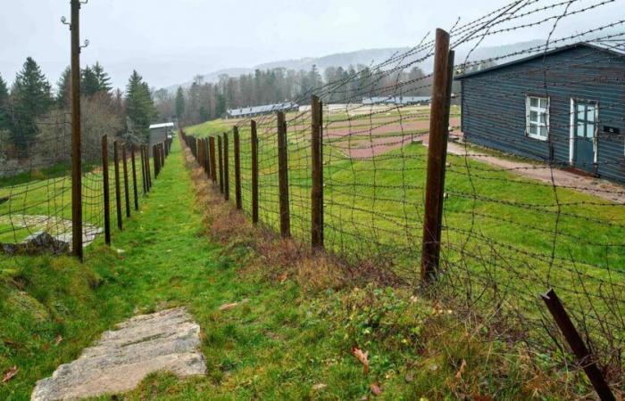 „Das Lager Struthof versorgte die Universität Straßburg mit Menschen für Experimente“ – Libération