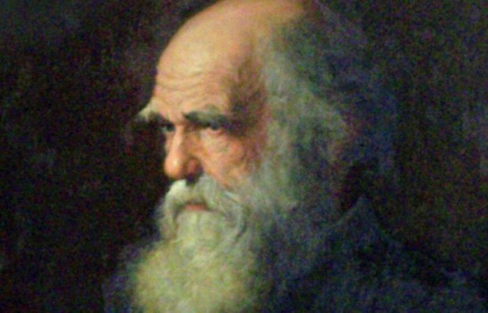 Vor 165 Jahren: Darwin und die „Entstehung der Arten“-Revolution