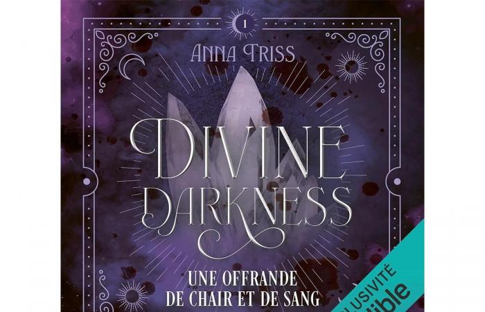 Divine Darkness Band 1, eine Romantik der Extraklasse!